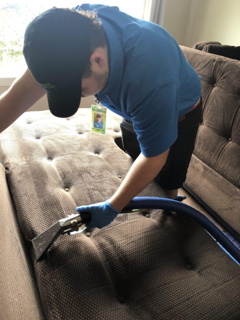 Greenway's Upholstery and Carpet Cleaner